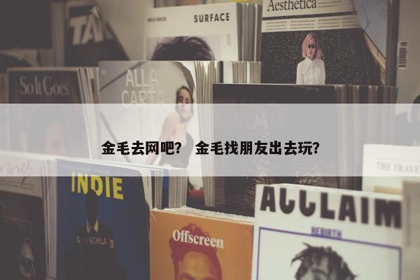 金毛去网吧？ 金毛找朋友出去玩？