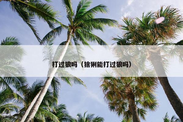 打过狼吗（猞猁能打过狼吗）
