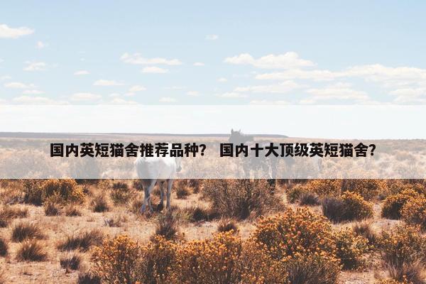国内英短猫舍推荐品种？ 国内十大顶级英短猫舍？