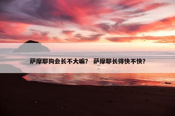 萨摩耶狗会长不大嘛？ 萨摩耶长得快不快？