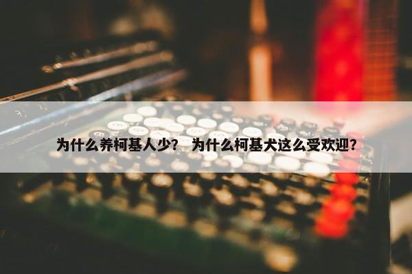 为什么养柯基人少？ 为什么柯基犬这么受欢迎？