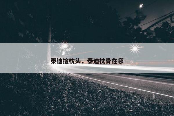 泰迪捡枕头，泰迪枕骨在哪