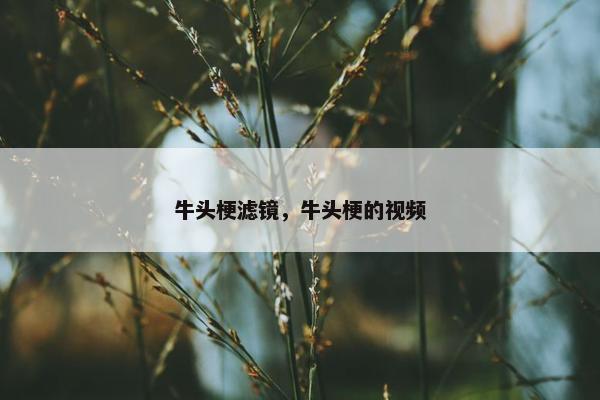 牛头梗滤镜，牛头梗的视频