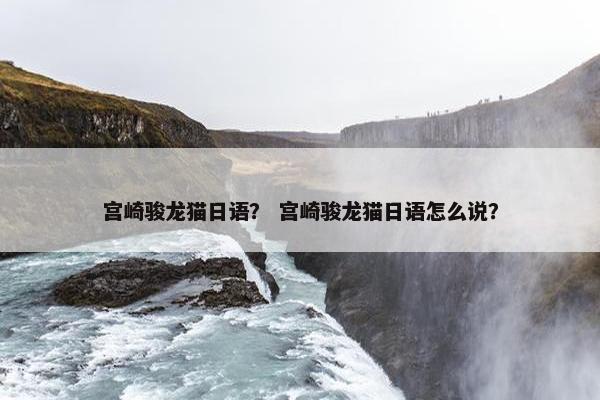 宫崎骏龙猫日语？ 宫崎骏龙猫日语怎么说？