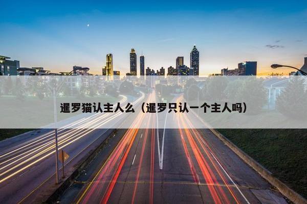 暹罗猫认主人么（暹罗只认一个主人吗）