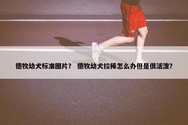 德牧幼犬标准图片？ 德牧幼犬拉稀怎么办但是很活泼？