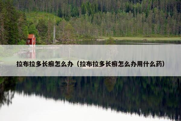 拉布拉多长癣怎么办（拉布拉多长癣怎么办用什么药）
