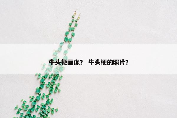 牛头梗画像？ 牛头梗的照片？