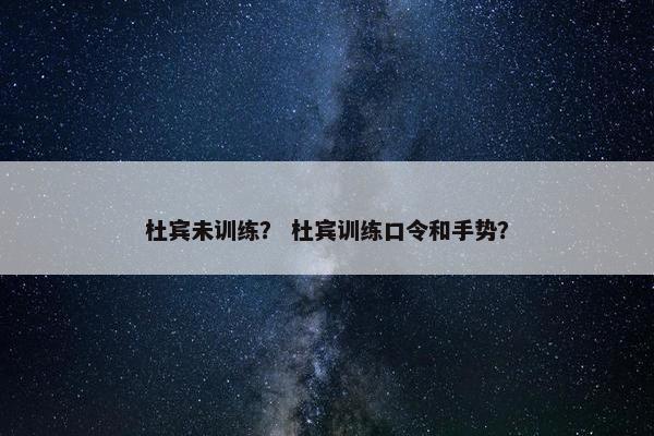 杜宾未训练？ 杜宾训练口令和手势？