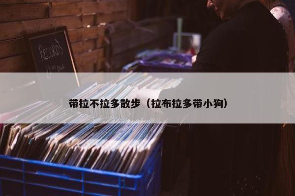 带拉不拉多散步（拉布拉多带小狗）