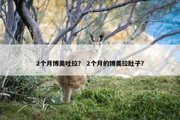 2个月博美吐拉？ 2个月的博美拉肚子？