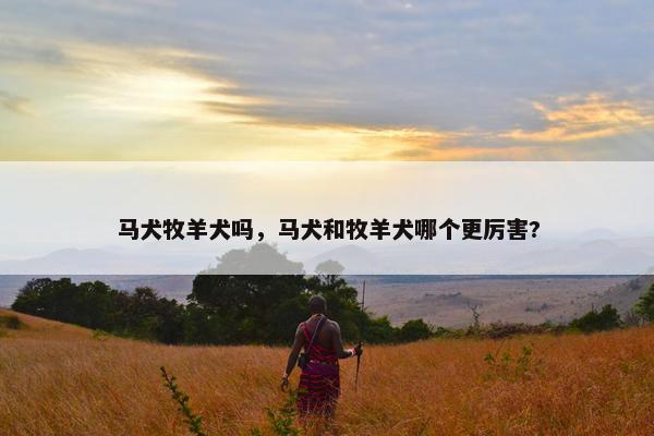 马犬牧羊犬吗，马犬和牧羊犬哪个更厉害?