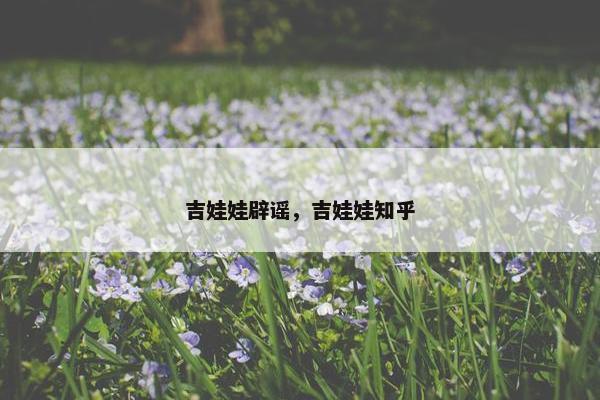 吉娃娃辟谣，吉娃娃知乎