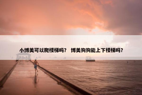 小博美可以爬楼梯吗？ 博美狗狗能上下楼梯吗？