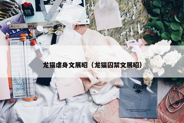 龙猫虐身文展昭（龙猫囚禁文展昭）