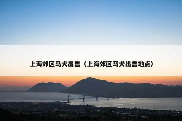 上海郊区马犬出售（上海郊区马犬出售地点）