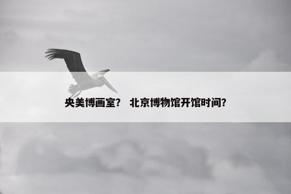 央美博画室？ 北京博物馆开馆时间？