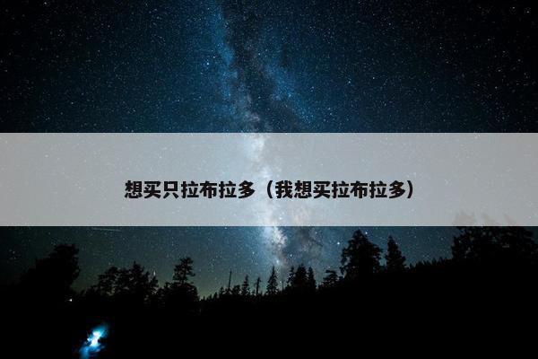 想买只拉布拉多（我想买拉布拉多）