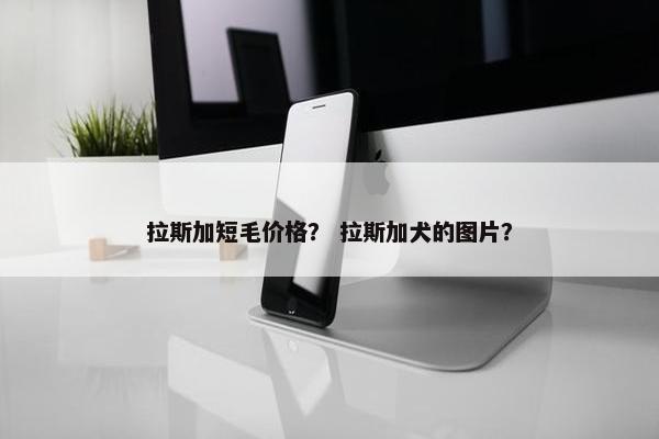拉斯加短毛价格？ 拉斯加犬的图片？