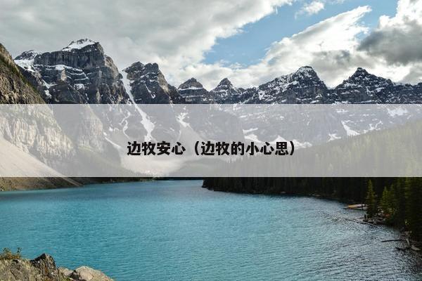 边牧安心（边牧的小心思）