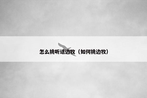 怎么挑听话边牧（如何挑边牧）