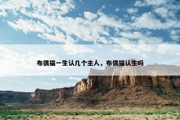 布偶猫一生认几个主人，布偶猫认生吗