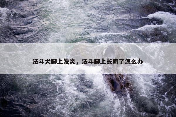 法斗犬脚上发炎，法斗脚上长癣了怎么办