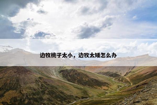 边牧桃子太小，边牧太矮怎么办