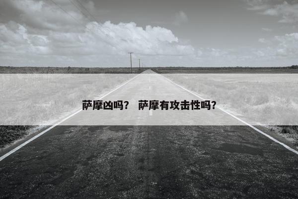 萨摩凶吗？ 萨摩有攻击性吗？
