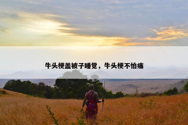 牛头梗盖被子睡觉，牛头梗不怕痛