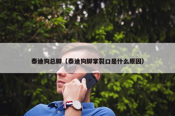 泰迪狗总脚（泰迪狗脚掌裂口是什么原因）
