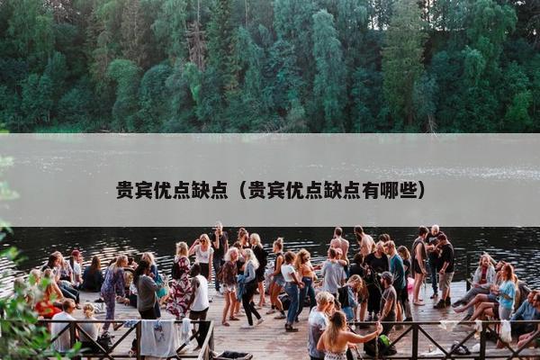 贵宾优点缺点（贵宾优点缺点有哪些）