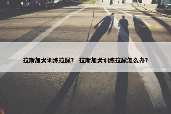拉斯加犬训练拉屎？ 拉斯加犬训练拉屎怎么办？