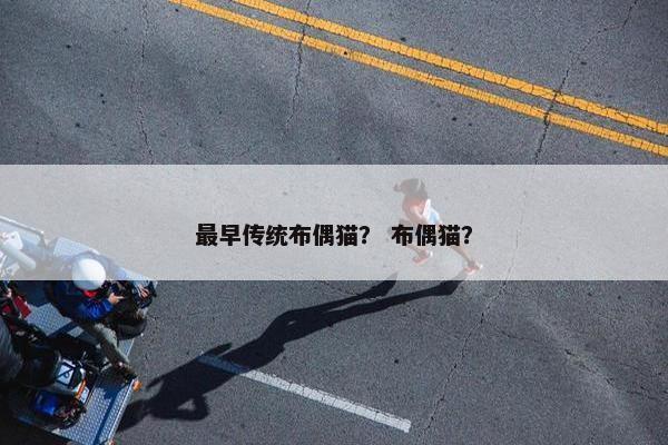 最早传统布偶猫？ 布偶猫？