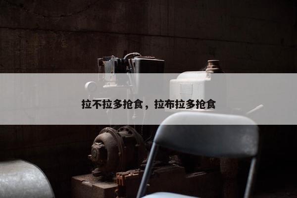 拉不拉多抢食，拉布拉多抢食