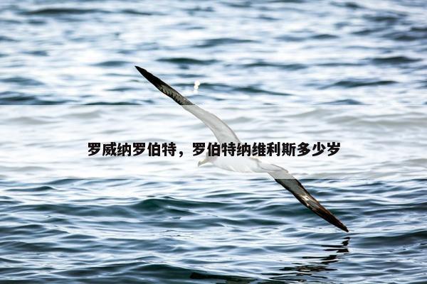罗威纳罗伯特，罗伯特纳维利斯多少岁