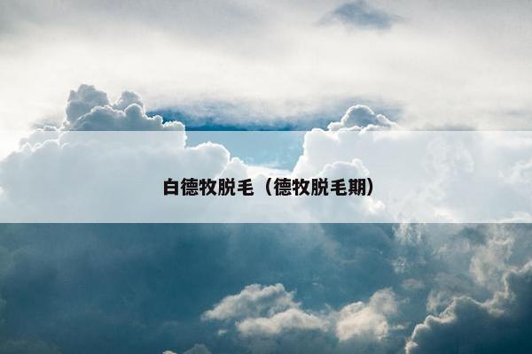 白德牧脱毛（德牧脱毛期）