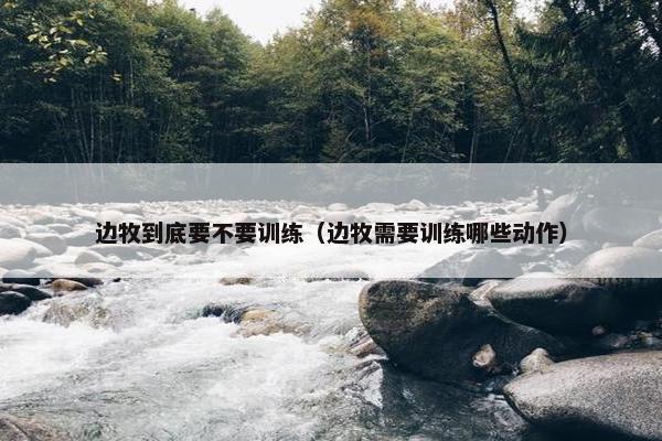 边牧到底要不要训练（边牧需要训练哪些动作）