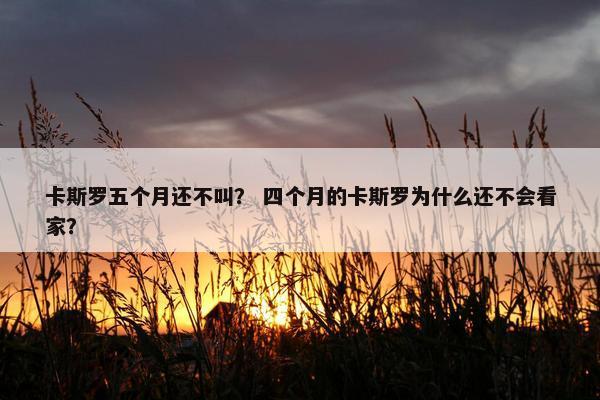 卡斯罗五个月还不叫？ 四个月的卡斯罗为什么还不会看家？
