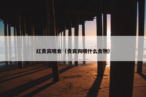 红贵宾喂食（贵宾狗喂什么食物）