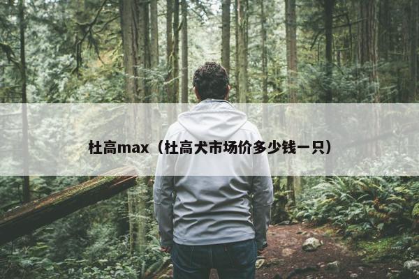 杜高max（杜高犬市场价多少钱一只）
