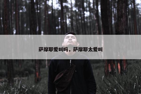 萨摩耶爱叫吗，萨摩耶太爱叫