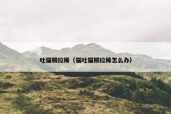 吐猫粮拉稀（猫吐猫粮拉稀怎么办）