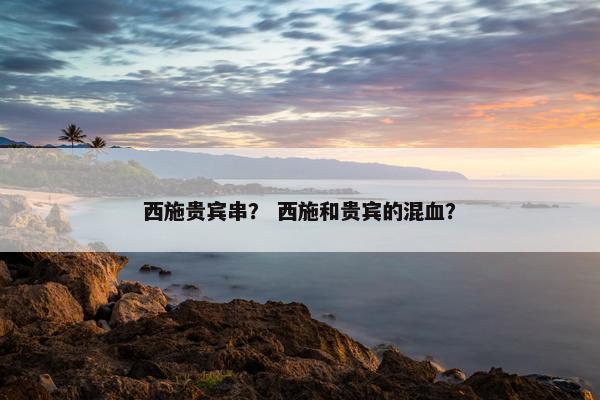 西施贵宾串？ 西施和贵宾的混血？