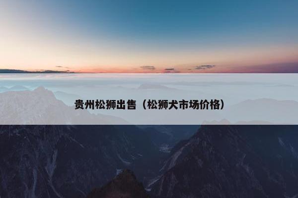 贵州松狮出售（松狮犬市场价格）