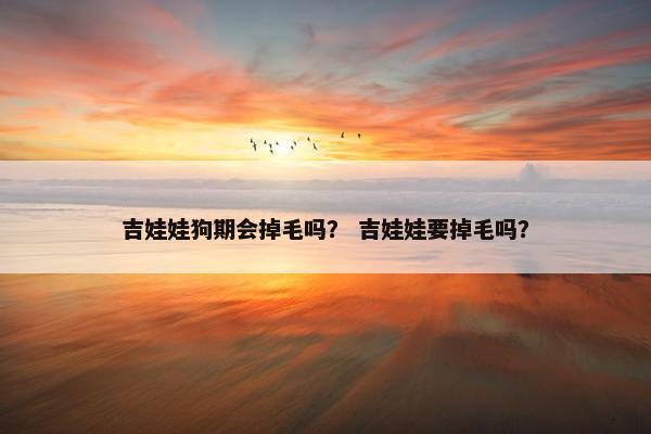 吉娃娃狗期会掉毛吗？ 吉娃娃要掉毛吗？