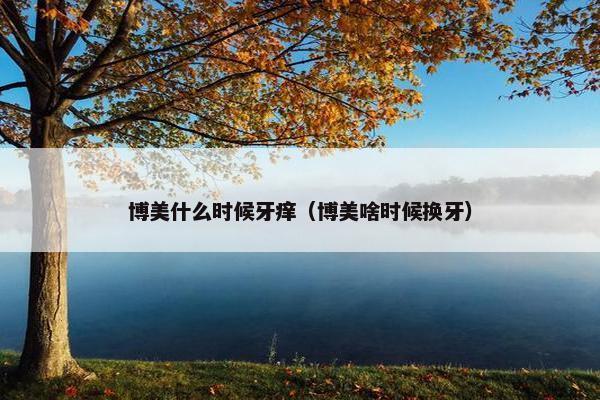 博美什么时候牙痒（博美啥时候换牙）