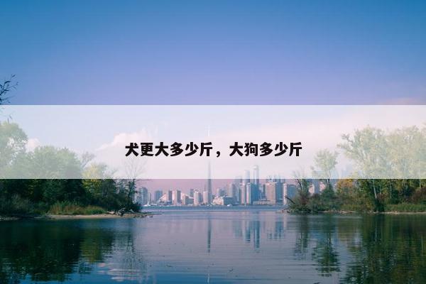 犬更大多少斤，大狗多少斤