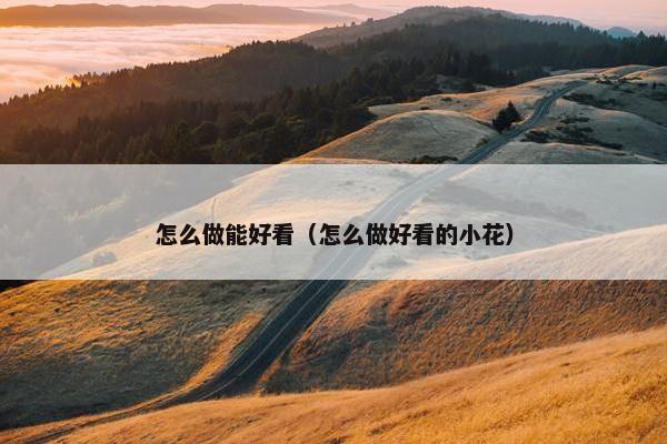 怎么做能好看（怎么做好看的小花）