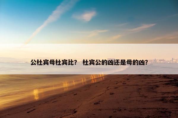 公杜宾母杜宾比？ 杜宾公的凶还是母的凶？